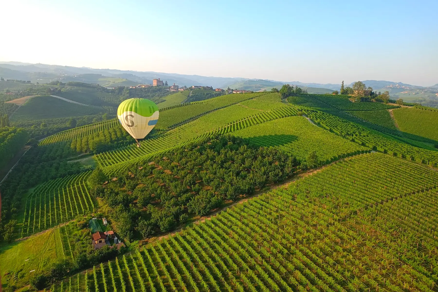 Un globo verde sobre los viñedos iluminados por el sol
